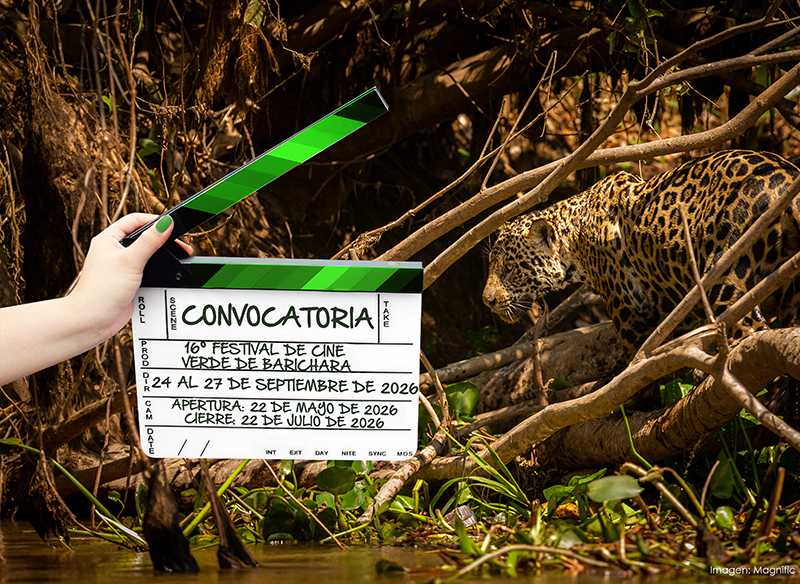 Festiver abre convocatoria y estrena categoría de video musical ambiental